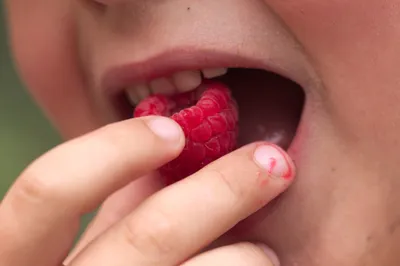 Des fruits distribués à la récrée dans quatre collèges