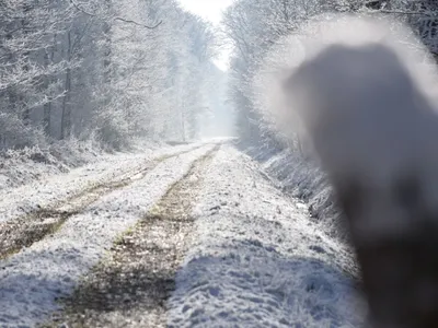 Vigilance orange "Neige et verglas" activée