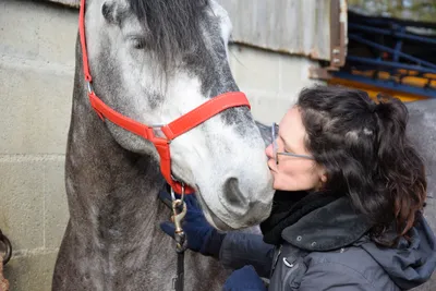 🔊 Une jument percheronne d'Eure-et-Loir au Salon de l'Agriculture