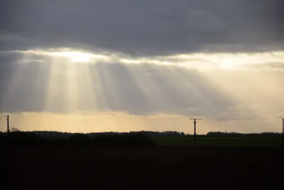 Des records de douceur battus pour un mois de décembre