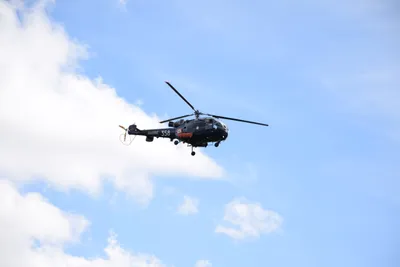 Le défilé républicain survolé par les hélicoptères de l'Armée de Terre