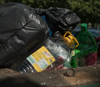 Les collectes de déchets fleurissent