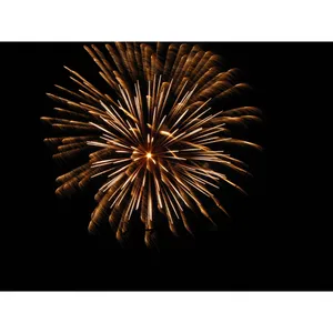 Détention de feux d'artifices et transport de bidons d'essence...