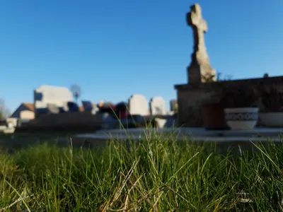 Donnez de votre temps pour un « désherbage citoyen du cimetière » 