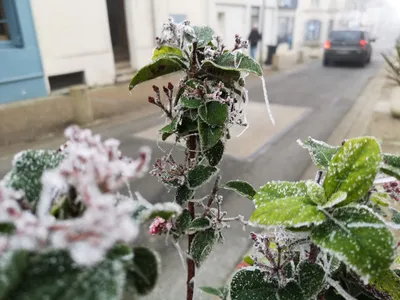 Fortes gelées et conditions de circulation "délicates"