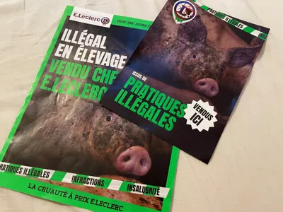 L214 appelle à la mobilisation ce week-end à Chartres