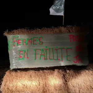 « Les réponses apportées ne sont pas à la hauteur de l’urgence »...