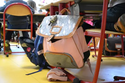 L'apprentissage de la démocratie dès le primaire à...