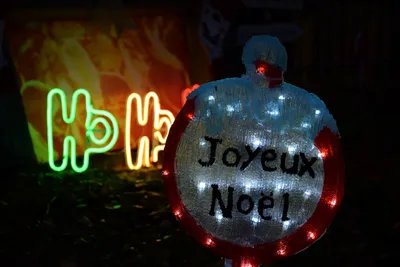 🔊 Des sorties de fin d'année, en famille