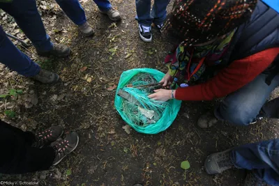 Une centaine de personnes contre la bâche en forêt de Dreux