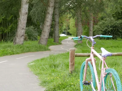 🔊 À vélo jusqu'au Mont-Saint-Michel : le pari fou de neuf amis...