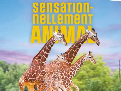 Gagnez vos places pour le ZooParc de Beauval sur Intensité