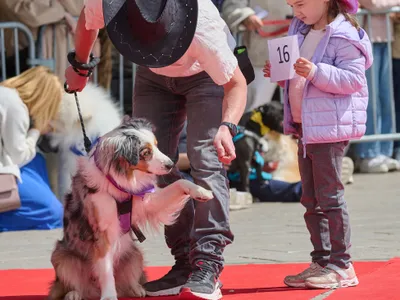🔊Informer, sensibiliser et rassembler autour de la cause animale