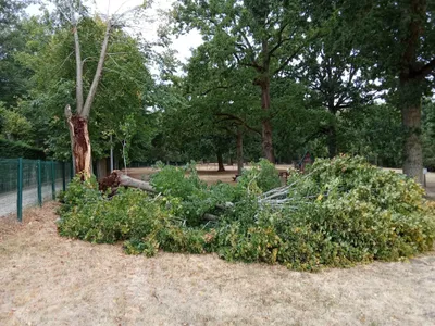 De premiers dégâts après les orages du 3 août