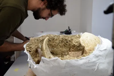 L’amphithéâtre d’Autricum à Chartres au cœur d’un prochain Jeudi de...