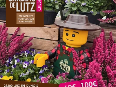 C'est l'automne ! Jouez et plantez ce que vous voulez avec...