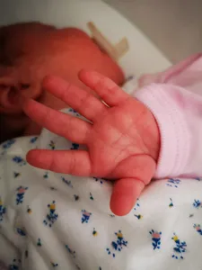 Démographie : Beaugency lance une prime de naissance pour attirer...