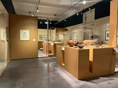 🔊 Le Musée des Beaux-Arts de Chartres voyage au cœur des Fidji...