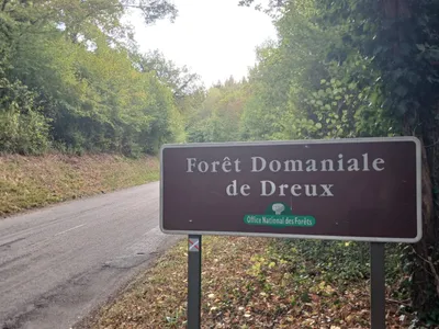 🔊 Quelle stratégie pour la lutte contre les feux de forêt en...