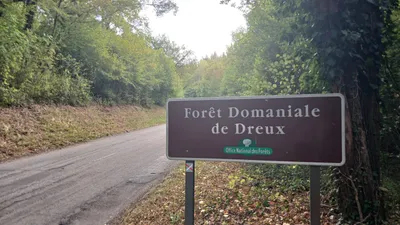 🔊 Quelle stratégie pour la lutte contre les feux de forêt en...