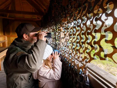 Chambord au crépuscule, pour découvrir la faune sauvage
