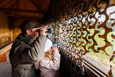 Chambord au crépuscule, pour découvrir la faune sauvage