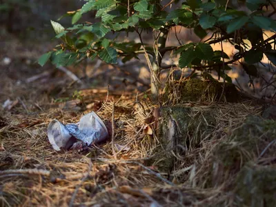 Bonneval contre les déchets sauvages