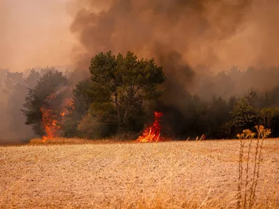 Loir-et-Cher : un pyromane interpellé grâce au sang-froid des...