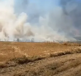 Eure-et-Loir : Plus de 130 hectares ravagés par les flammes ce...