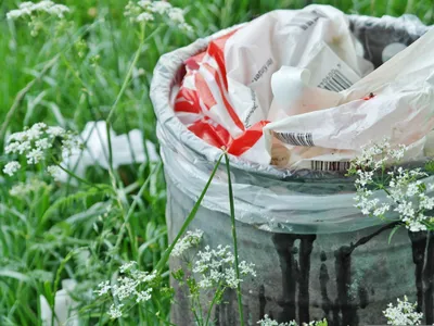 Une action pour "une ville plus propre" 