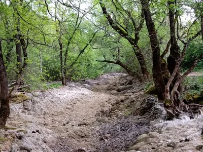 Sécheresse : Trois cours d'eau euréliens basculent en « crise »