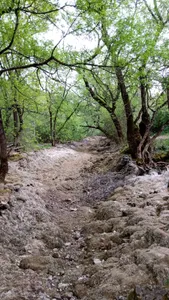 Sécheresse : Trois cours d'eau euréliens basculent en « crise »