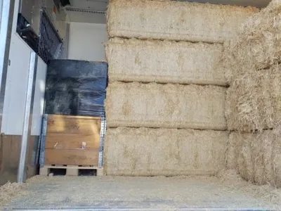 Saisie record sur l'A10 : plus de 240 kg de cocaïne interceptés par...