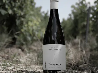 INSOLITE - Un vin de Sancerre en rupture de stock aux États-Unis