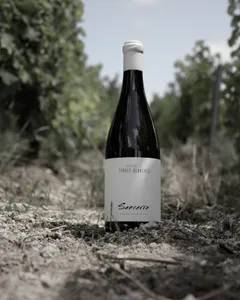 INSOLITE - Un vin de Sancerre en rupture de stock aux États-Unis