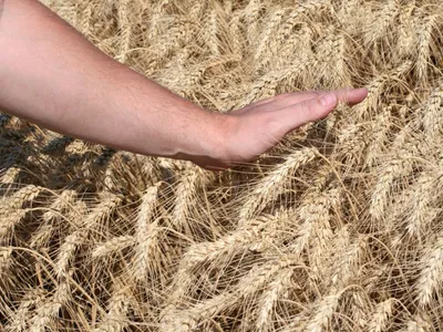 Un camion ambulant pour faciliter l’accès au monde agricole 