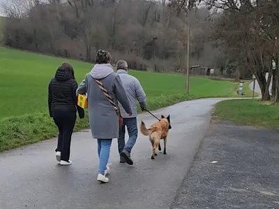 Meuse : le refuge de Cathy recherche des bénévoles