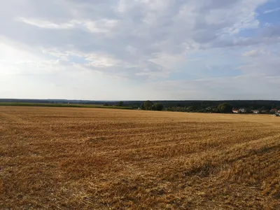 Météo : trois départements lorrains placés en vigilance jaune canicule