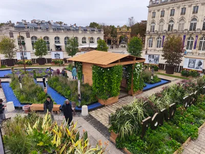 (Photos) : le jardin éphémère prend racine sur la place Stanislas