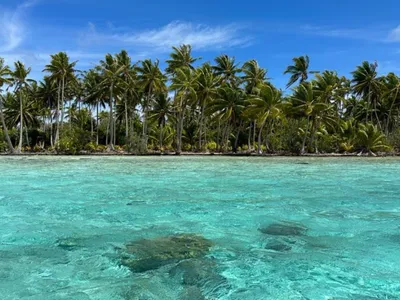 Football : ce club Lorrain ira à Tahiti jouer un match de coupe de...