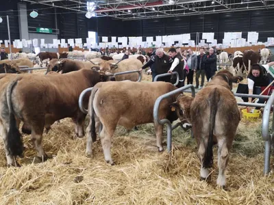 Agrimax : Le monde de l’agriculture débarque à Metz