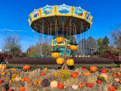 Walygator : venez frissonner de plaisir pour Halloween 