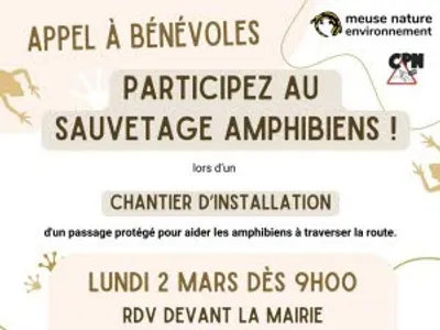 Chantier d’installation pour sauver des amphibiens : un appel aux...
