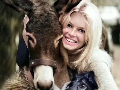 La vente des objets personnels de Brigitte Bardot frôle le million...