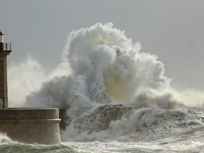 Tempête Goretti : des équipes Enedis de l’Est mobilisées pour...