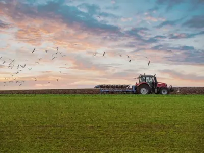 Alsace : les agriculteurs obtiennent l’annulation de la hausse de...