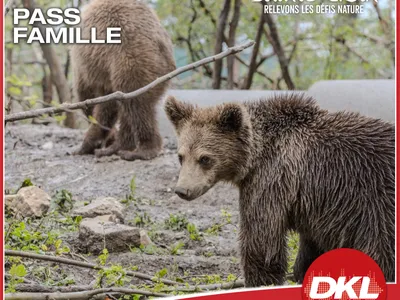 DKL vous offre votre pass famille au Parc de Sainte-Croix !