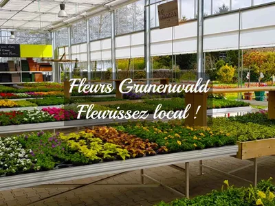 DKL & Fleurs Grunenwald : un partenariat qui fait fleurir vos envies