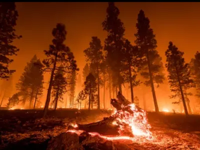 1er mai en Allemagne : vigilance accrue face au risque élevé...