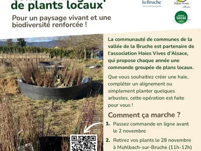 Vallée de la Bruche : une commande groupée d’arbres locaux pour...